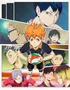 Haikyuu (spring high preliminary)