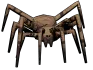 Bunker Spider