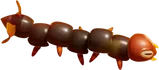 Lanmola