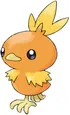 Torchic