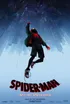 Spiderman Into The Spiderverse