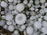 Hailstorm