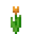 Orange Tulip 