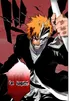 Ichigo (Half Mask)