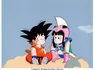 Goku & Chi Chi