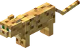Ocelot