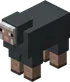 Gray Sheep