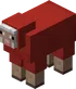 Red Sheep
