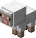 Baby White Sheep