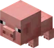 Baby Pig