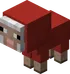 Baby Red Sheep