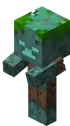 Baby Drowned