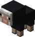 Baby Black Sheep