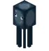 Squid