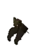Bat (Old)