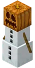Snow Golem