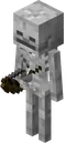 Skeleton