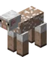 Sheared White Sheep