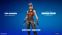 Renegade Raider