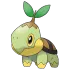 Turtwig