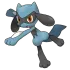 Riolu