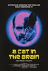 Un gatto nel cervello, Lucio Fulci