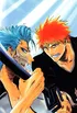 Ichigo and Grimmjow