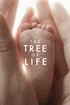 The Tree of Life