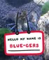 Blue Gers