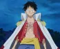 Luffy Marine Rookie