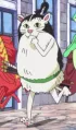 Zoro%27s Cat Disguise