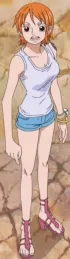 Nami Straw Hat%27s Separation Serial Outfit