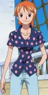 Nami Last Thriller Bark Outfit