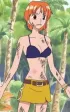 Nami%27s Bra Little Garden Arc