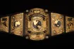 AEW Womens World Championship