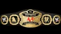 WWE World Tag Team Championship