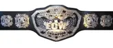 WWE ECW World Heavyweight Championship