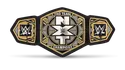 NXT Tag Team Championship