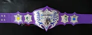 Jeff Hardy TNA World Heavyweight Championship