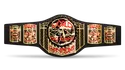 ECW Tag Team Championship