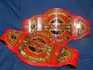 TNA Knockouts Tag Team Championship