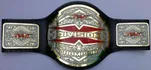 TNA X Division Championship