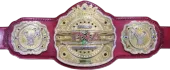 TNA Legends Championship