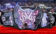 Wwe Divas Championship