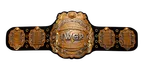 IWGP Heavyweight Championship