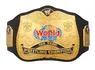 WWE World Tag Team Championship