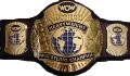 WCW World Heavyweight Championship