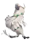 Niguel