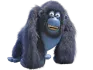 Miguel