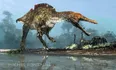 ichthyovenator